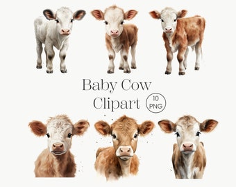 Akvarell baby höglandsko Clipart 10 PNG Gård höglandsko, söt djurunge, djurillustration, utskrivbar grafik, digitalt hantverk,