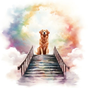 Hond hemel aquarel clipart, 10 JPG hemel trappen huisdier verlies clipart, hond in de hemel clipart, transparante JPG, kleurrijke regenboog