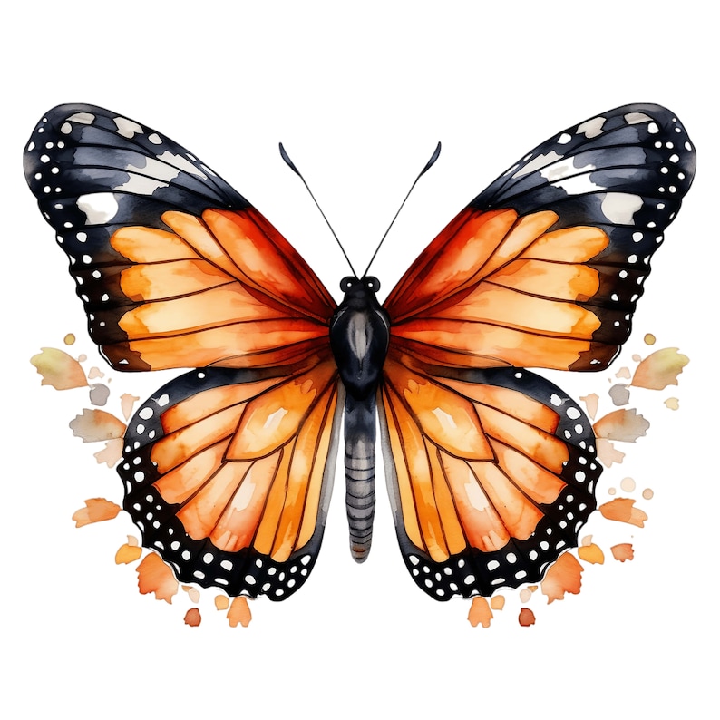 Watercolor Monarch Butterfly Clipart | Vibrant Insect Art (digital ...