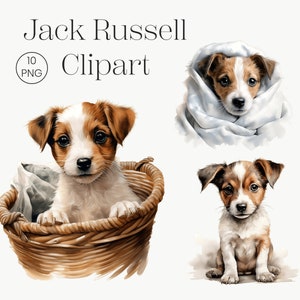 Jack Russell Clipart | 10 Hochwertige PNG | Hund PNG Aquarell Hund Clipart Jack Russell Art Hundeportrait Welpe Bilder Kinderzimmer Wandkunst