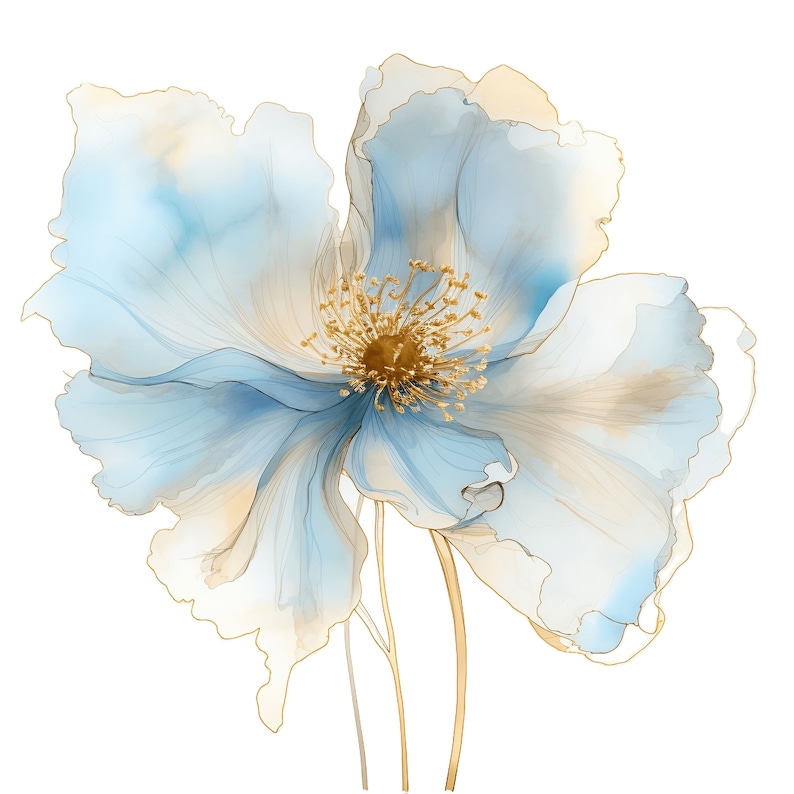 May include: Watercolor illustration of a large, open flower with delicate, translucent petals in shades of light blue and beige. The flower's center is a cluster of golden stamens, and the edges are outlined in gold.