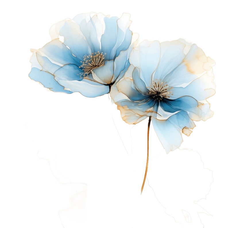 May include: Two delicate, watercolor-style flowers in shades of light blue and gold against a white background. The petals are translucent, with detailed centers and a single brown stem. The artwork evokes a sense of elegance and tranquility.