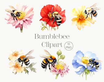Hummel Aquarell Clipart: Floral PNG Set (Digitaler Download)