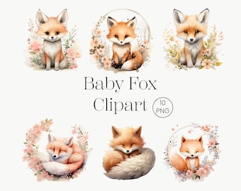 Schattige bloemen Fox clipart | 10 Transparante PNG | Baby Fox aquarel clipart aquarel Fox Fox clipart Fox PNG Fox Art Fox Fox digitaal dier