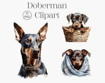 Watercolor Doberman Clipart | Cute Dog PNG, Commercial Use (10 PNG)