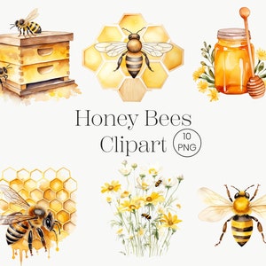 Honingbij aquarel clipart | 10PNG | Aquarel Honey Bee Clipart Honeybee PNG, Honingraat, Bijenkorf, Digitale Download