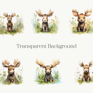 Cute Moose Clipart, 10 High Quality PNG, Woodland Animal Deer, Baby ...