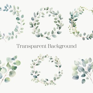 Eucalyptus Wreath Clipart | 10 PNG | Watercolor Eucalyptus Frame ...