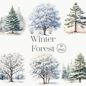 Acquerello Inverno Clipart Acquerello Inverno Alberi 10 PNG Bosco Acquerello Albero di Natale, Pino Albero di Natale png Uso commerciale