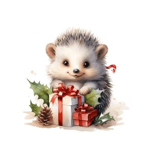 Clipart hérisson de Noël, 10 JPG, Clipart de Noël aquarelle, Animal de Noël, Vacances d’hiver, Animaux mignons, Graphique imprimable