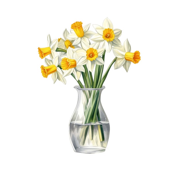 Daffodil Flower Clipart Narcissus 10 High Quality JPG | Yellow Flowers, Watercolor Daffodil Clipart, Daffodil Bouquet, Floral Clipart