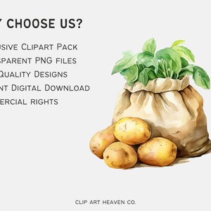 Watercolor Potato Clipart | 10 PNG Vegetable Clipart, Potato PNG Junk ...