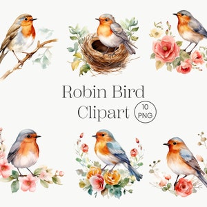 Aquarela Robin Birds Clipart, Spring Birds Clipart, Desenhos De Sublimação, Robin Birds Png, Robin Birds Clipart, Digital PNG