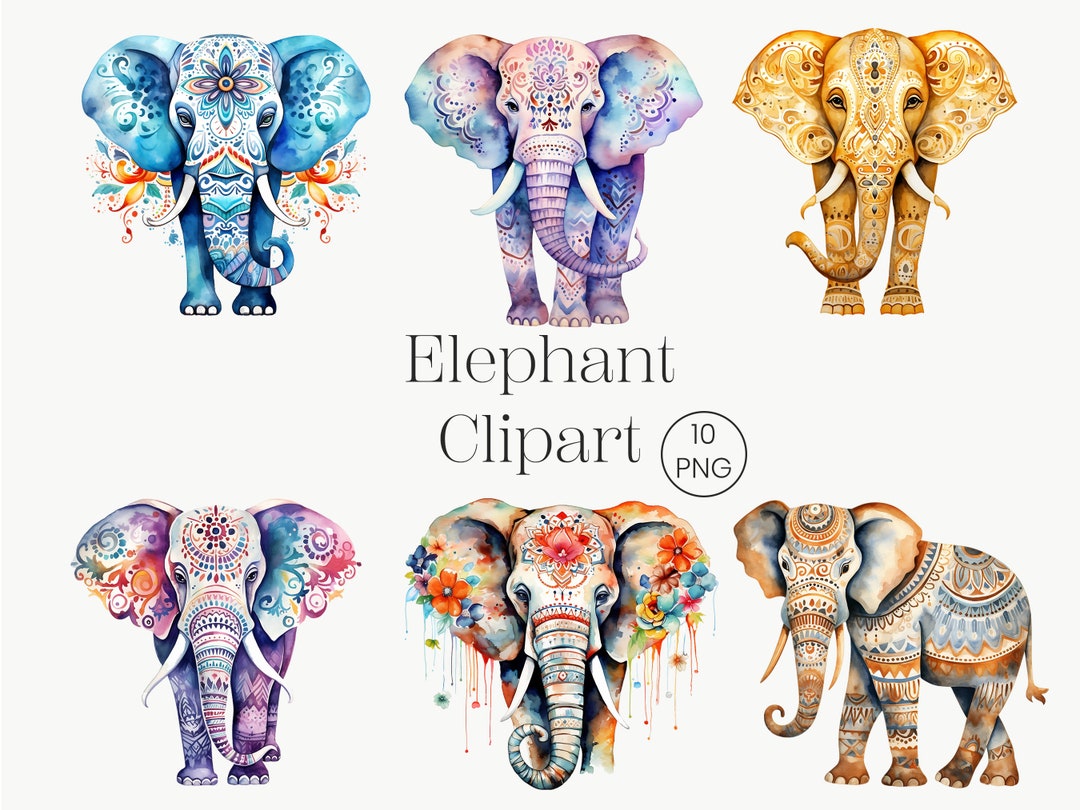 Colorful Elephant Clipart: Intricate PNG Images (10 Files) - Etsy