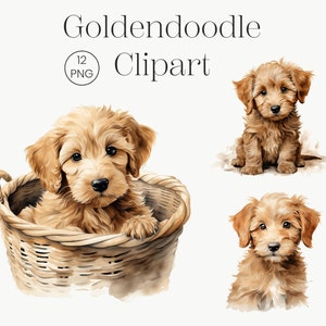 Goldendoodle Clipart | 10 Hochwertige PNG | Hund PNG Golden Doodle PNG Niedlicher Hund Clipart Kinderzimmer Clipart Hund Aquarell Welpe Bilder