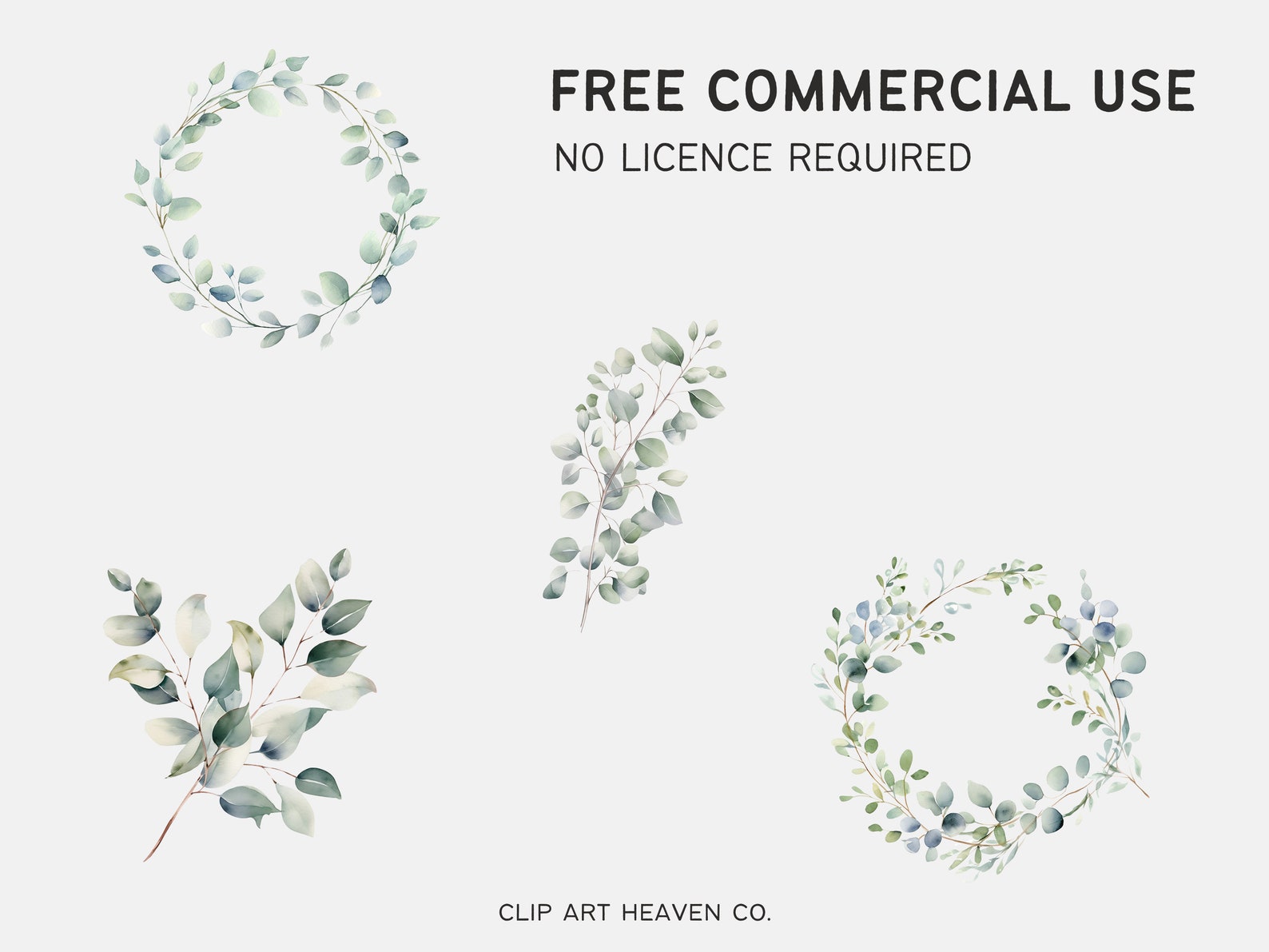 Eucalyptus Wreath Clipart | 10 PNG | Watercolor Eucalyptus Frame ...