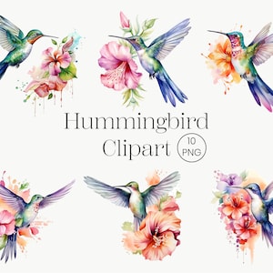 Aquarel kolibrie clipart 10 PNG kleurrijke vogel, bloemen vogel digitale afbeelding pastel vogel clipart muur kunst digitale download
