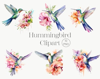 Clipart de colibrí en acuarela: conjunto de aves florales PNG (descarga digital)