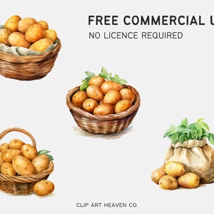 Watercolor Potato Clipart | 10 PNG Vegetable Clipart, Potato PNG Junk ...