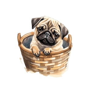 Carlin Clipart | 10 JPG de haute qualité | Carlin mignon dans le panier chiot mignon Clipart Kids Decor, fabrication de cartes, Clip Art, Digital Paper Craft