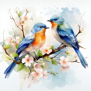 Aquarell Vögel Clipart | 10 JPG | Bunte Vögel Clip Art, Frühling Clipart, Blumen Vogel Illustration Niedliche Vögel & Blüten Digital Download
