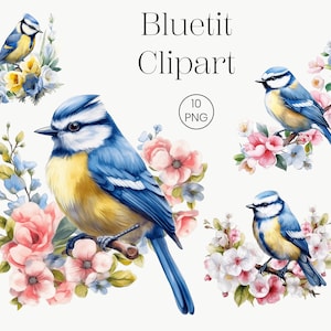 Clipart oiseau printanier avec fleurs | 10 PNG | Mésange bleue Clipart cartes, oiseau bleu, oiseau floral Clipart numérique Paper Craft téléchargement numérique