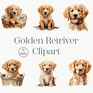 Clipart cucciolo Golden Retriver / 12 PNG di alta qualità / Clipart cane carino, PNG cane, cuccioli PNG acquerello Golden Retriver, ritratto cane