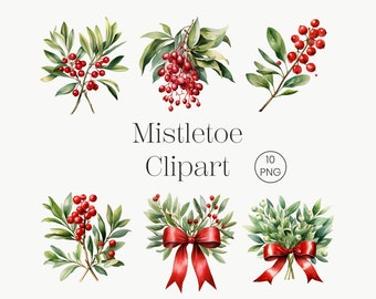 Mistletoe Clipart | 10 PNG | Watercolor Christmas Flower Clipart PNG Digital Download Watercolor Clipart Clip Art Commercial Use