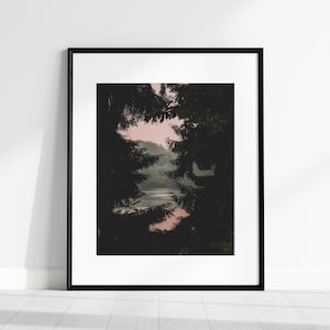 Fine Art Photography - Lost Woods - Forest - Art - Minimalist Wall Decor