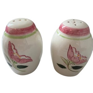 May include: A pair of ceramic salt and pepper shakers. The shakers are white with a pink and green band around the top. Each shaker has a pink floral design with green leaves and black accents. The shakers are approximately 3 inches tall.
