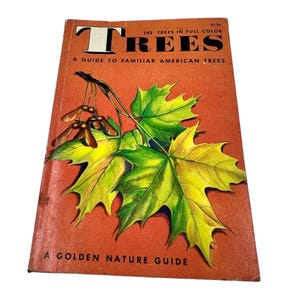 Trees A Guide To Familiar American Trees Golden Nature Guide Paperback 160 Pages
