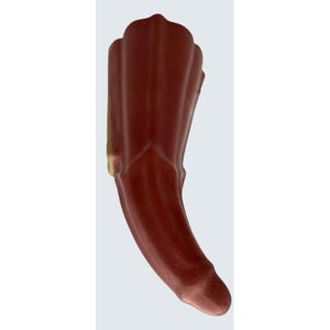 May include: A maroon-colored, ceramic wall pocket vase. The vase has a curved, elongated shape with a flared top and a textured surface. The vase is designed to hold flowers or other decorative items.