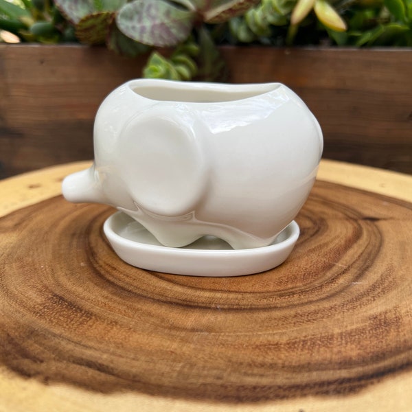 Vintage Elephant Planter with Tray/Small