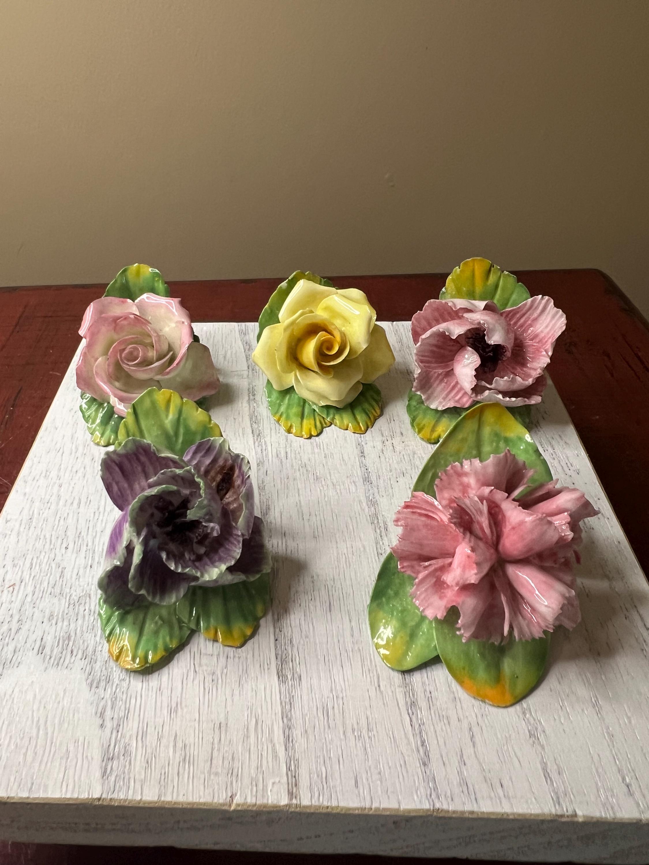 コールポート Four Flowers Collections　カーネーション 母の日 プレゼント 花 カーネーション 4号 4寸 : フラワーアルス