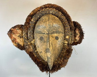 May include: A wooden mask with a long, pointed nose and large, round eyes. The mask is decorated with a fringe of brown fibers and a band of small, round objects around the forehead. The mask is a traditional African art object.