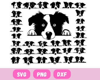 peeking border collie svg, border collie svg, pet dog svg, dog svg, Dog Mom Svg, svg files for cricut, PEEKING DOG,bundle svg,dog silhouette