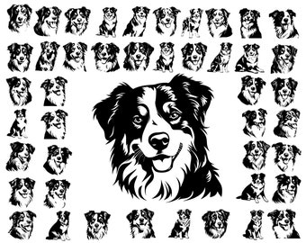 australian shepherd, Dog Face Svg, dog svg bundle, Svg Files For Cricut, australian shepherd gifts, pet dog svg, dog svg, Dog Mom Svg