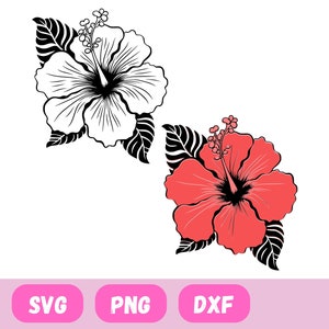 Ibisco in formato SVG, file in formato SVG per cricut, fiore tropicale in formato SVG, PNG di ibisco, foglie tropicali in formato SVG, fiori di campo in formato SVG, fiore di nascita in formato SVG, fiore in formato SVG
