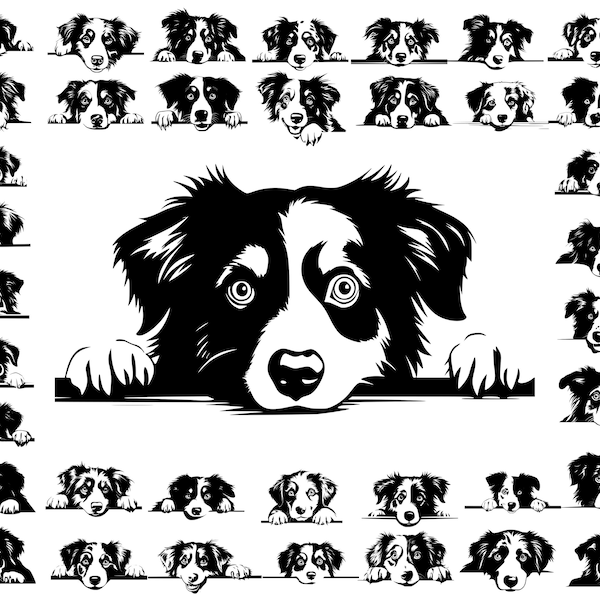 Australischer Schäferhund, spähender Hund, Hunde-Svg-Bundle, Hunde-Svg-Bundle, Hunde-Svg-Datei für Cricut, spähender Hund, Haustier Hund svg, Hund svg, Hundemama svg