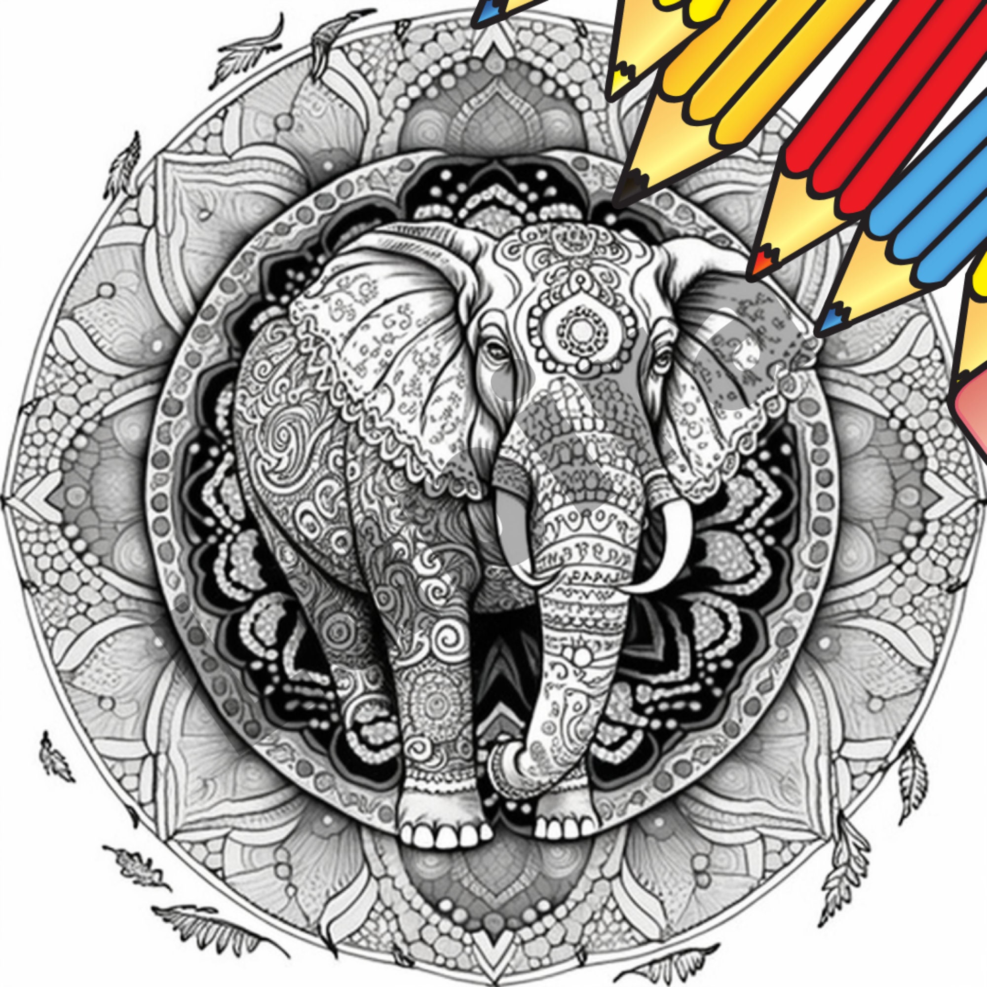 MANDALA COLOR BOOK Teen Coloring Book Sketch Books Animal Etsy