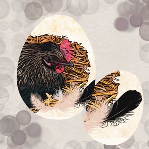 Tierfotografie Hühnerliebe nachbearbeitet Postkarte mit Sprüchen Nesthocker originell und exklusiv MinasSchaetzeDE image 6
