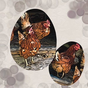 Tierfotografie Hühnerliebe nachbearbeitet Postkarte mit Sprüchen Dahoam is dahoam originell und exklusiv MinasSchaetzeDE image 2