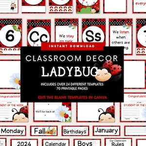 Classroom Decor Bundle: Ladybug Theme Decorations | Classroom Labels and Displays | Insect Classroom Decoration | Ladybugy Teacher Resources