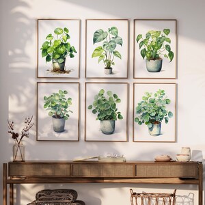 Set of 6 Prints, Botanical Plants Poster, Green Wall Art, Eucalyptus Prints, Greenery minimalist Art, Botanic Print Leaf, home Decor gift