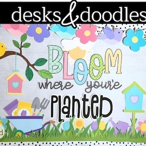 May include: A colorful classroom bulletin board with the words "Bloom where you're planted" in black and white lettering. The board is decorated with flowers, birds, and a small house.