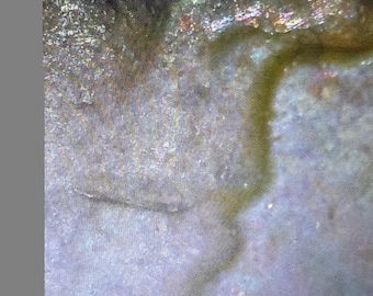 1968 Error Lincoln Penny