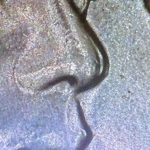 Może przedstawiać: Zbliżenie teksturowanej, mieniącej się powierzchni z ciemnym, zakrzywionym kształtem przypominającym gałąź drzewa lub płynną linię. Powierzchnia ma subtelną, opalizującą jakość z nutami niebieskiego i srebrnego.