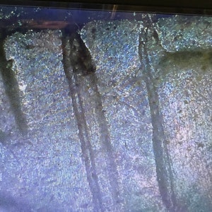 May include: A digital image of a forest scene, with vertical tree trunks and a textured, speckled background. The color palette is dominated by blues, greens, and blacks, creating a moody and atmospheric effect. The image appears to be a digital artwork or a photograph.