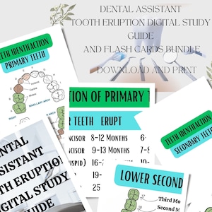 Cartes d'études pour assistant dentaire, Cartes d'études dentaires, Guide d'hygiène dentaire, Éruption dentaire dentaire, Référence dentaire, Cartes scolaires d'hygiène