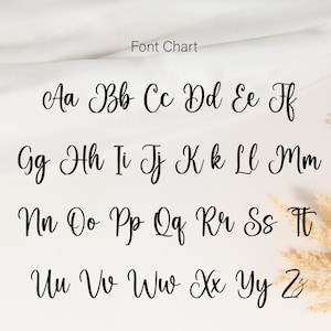 May include: Font chart showing the lowercase alphabet in a cursive script. The letters are written in black ink on a white background.